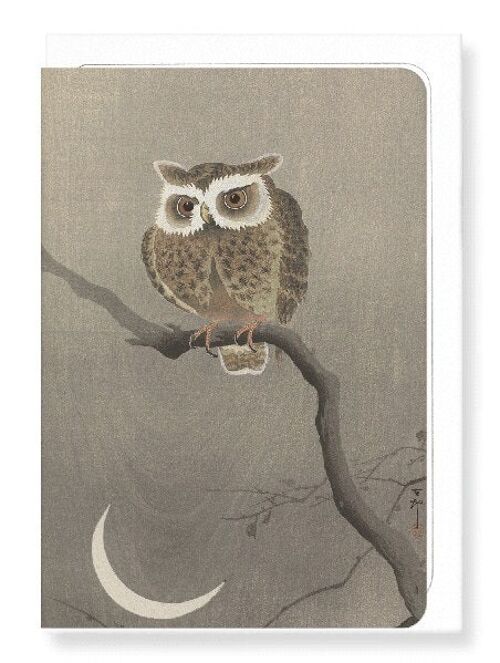 LONG-EARED OWL ON TREE BRANCH Japanese Greeting Card