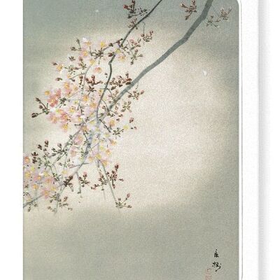 CHERRY BLOSSOM IN THE FULL MOON Japanese Greeting Card