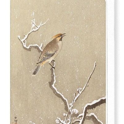 WAXWING BIRD ON SNOWY BRANCH Japanese Greeting Card
