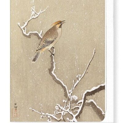 WAXWING BIRD ON SNOWY BRANCH Japanese Greeting Card
