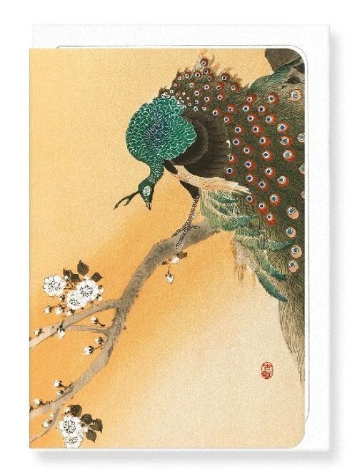 PEACOCK ON CHERRY BLOSSOMS Japanese Greeting Card
