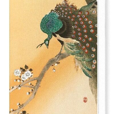 PEACOCK ON CHERRY BLOSSOMS Japanese Greeting Card