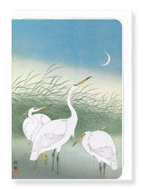 HERONS IN SHALLOW WATER Japanese Greeting Card