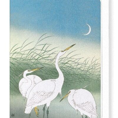 HERONS IN SHALLOW WATER Japanese Greeting Card