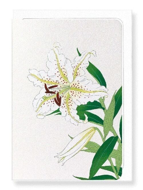 LILY Japanese Greeting Card