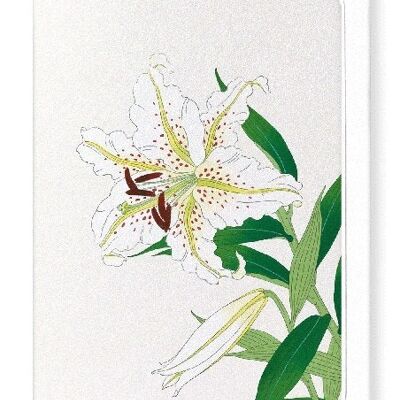 LILY Japanese Greeting Card