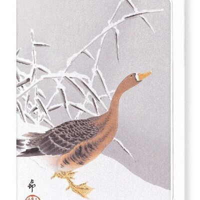 WHITE FRONTED GOOSE IN THE SNOW Japanese Greeting Card