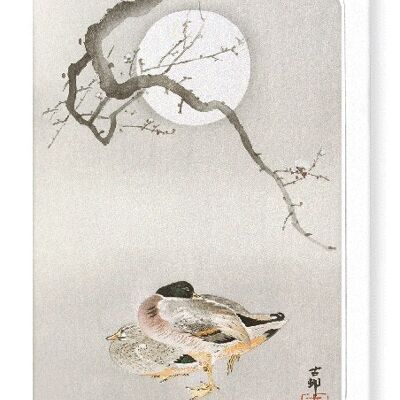 DUCKS AND BLOSSOM IN FULL MOON Japanese Greeting Card