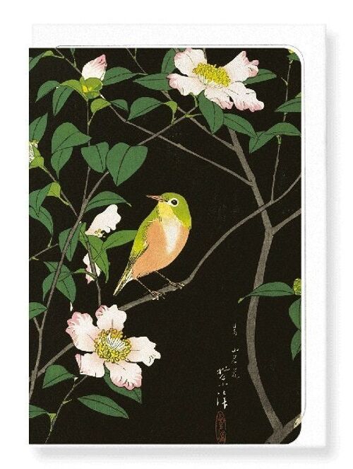 JAPANESE WHITE-EYE AND CAMELLIA C.1930  Japanese Greeting Card