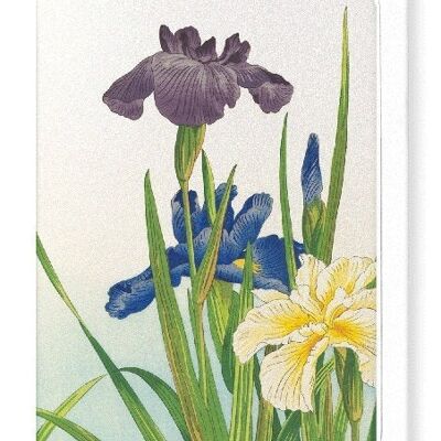 THREE IRIS FLOWERS 1937  Japanese Greeting Card