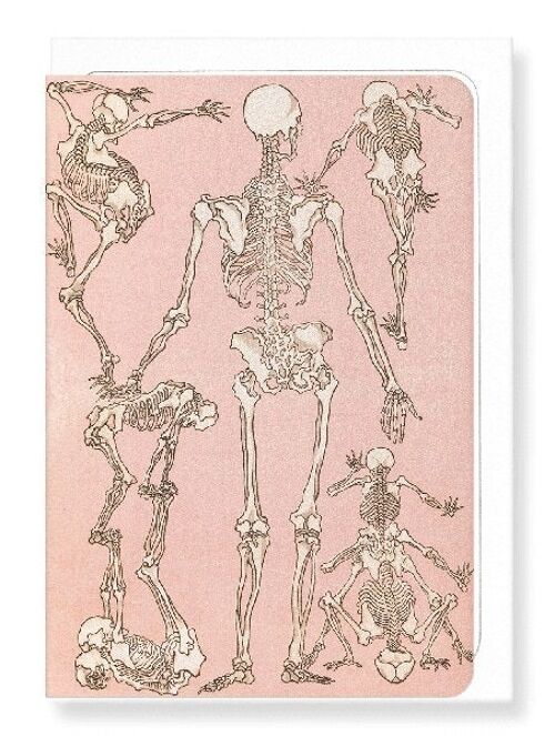 STUDY OF SKELETONS BACK 1881  Japanese Greeting Card