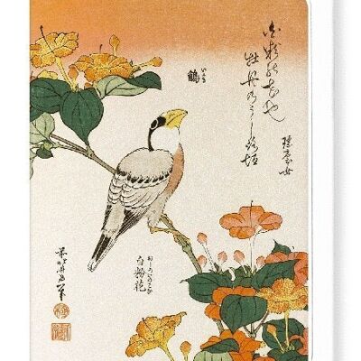 JAPANESE GROSBEAK WITH MARVEL-OF-PERU FLOWERS C.1834  8xCards