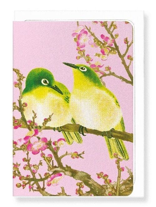WARBLING WHITE-EYE WITH PLUM BLOSSOMS C.1930  8xCards