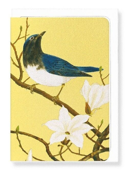 BLUE-AND-WHITE FLYCATCHER AND MAGNOLIA TREE C.1930  8xCards