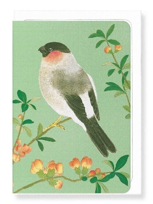 EURASIAN BULLFINCH WITH CHINESE QUINCE C.1930  8xCards