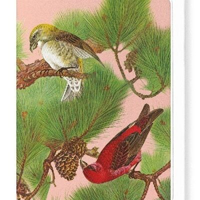 COMMON CROSSBILL BIRDS ON PINE TREE C.1930  Japanese Greeting Card