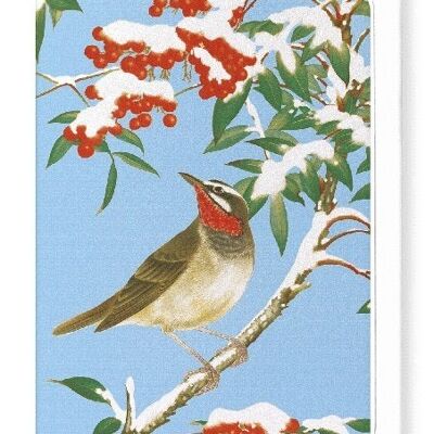 CALLIOPE BIRD WITH NANDINA C.1930  Japanese Greeting Card