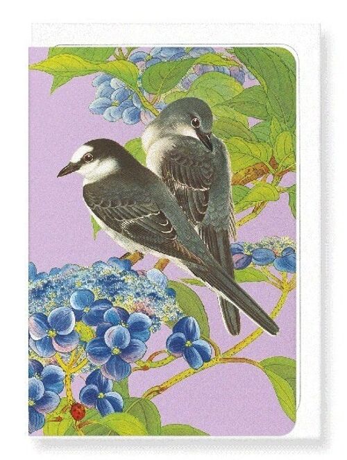 ASHY MINIVET BIRDS WITH HYDRANGEA C.1930  Japanese Greeting Card