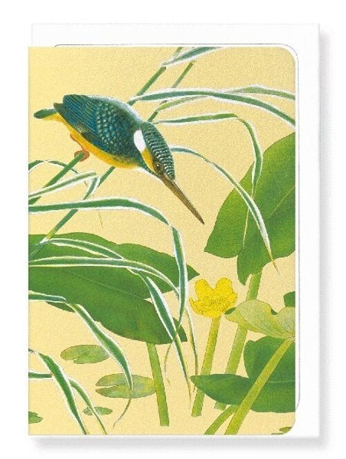 KINGFISHER WITH EAST ASIAN YELLOW WATER-LILY C.1930  8xCards