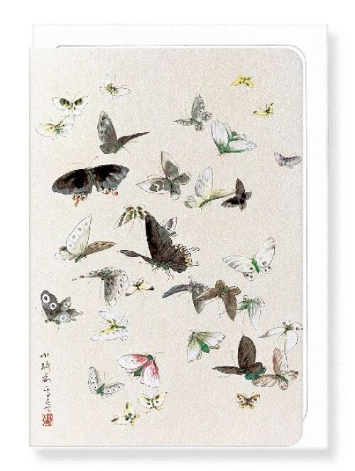 BUTTERLFLIES AND MOTHS 1830-1850  Japanese Greeting Card