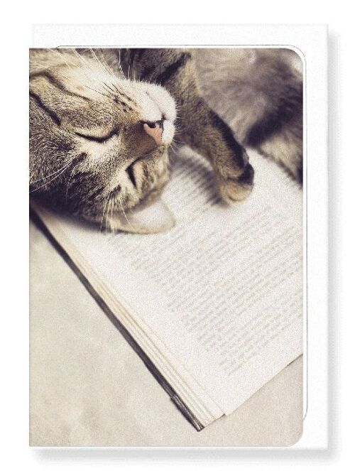 CAT AND BOOK Greeting Card