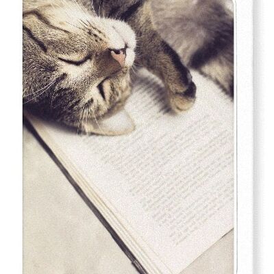 CAT AND BOOK Greeting Card