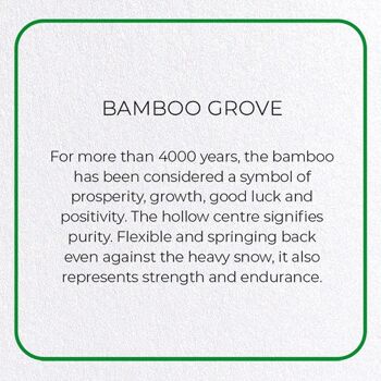 BAMBOO GROVE Carte de vœux 2