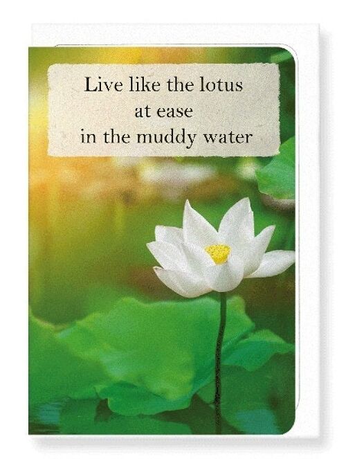 LOTUS IN THE LIGHT Greeting Card