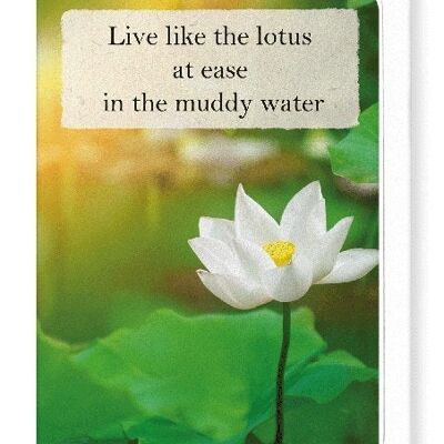 LOTUS IN THE LIGHT Greeting Card