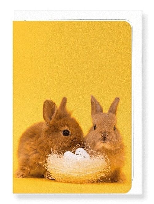 EASTER BUNNIES Greeting Card