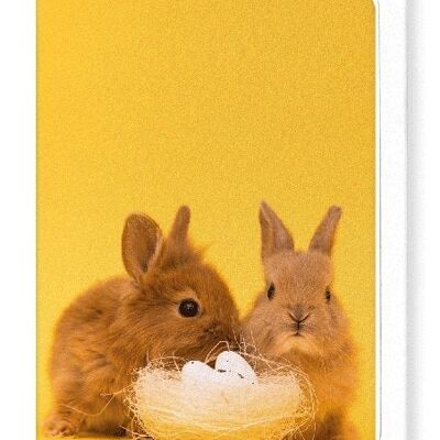 EASTER BUNNIES Greeting Card