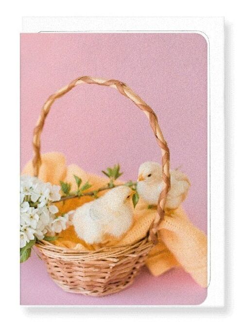TWO CHICKS AND BASKET Greeting Card