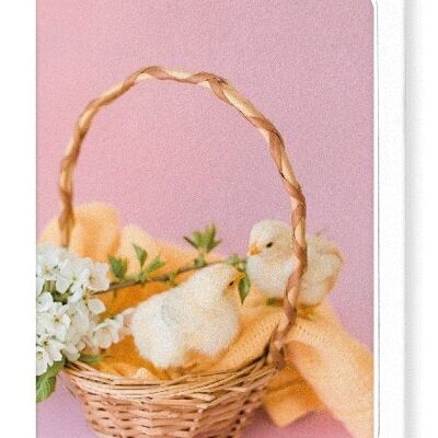 TWO CHICKS AND BASKET Greeting Card