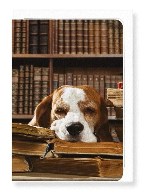 DOG OF LITERATURE Greeting Card