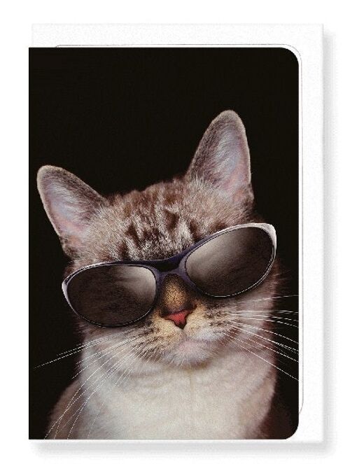 COOL CAT Greeting Card