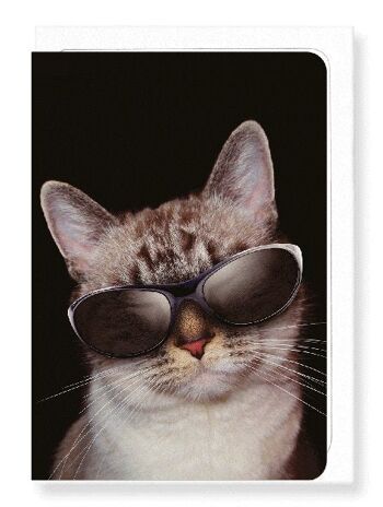 CHAT COOL Carte de vœux 1