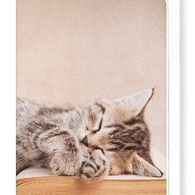 KITTEN SLEEPING ON A BOOK Greeting Card