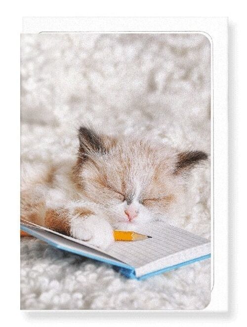KITTEN AND NOTEBOOK Greeting Card