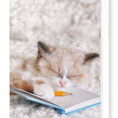 KITTEN AND NOTEBOOK Greeting Card