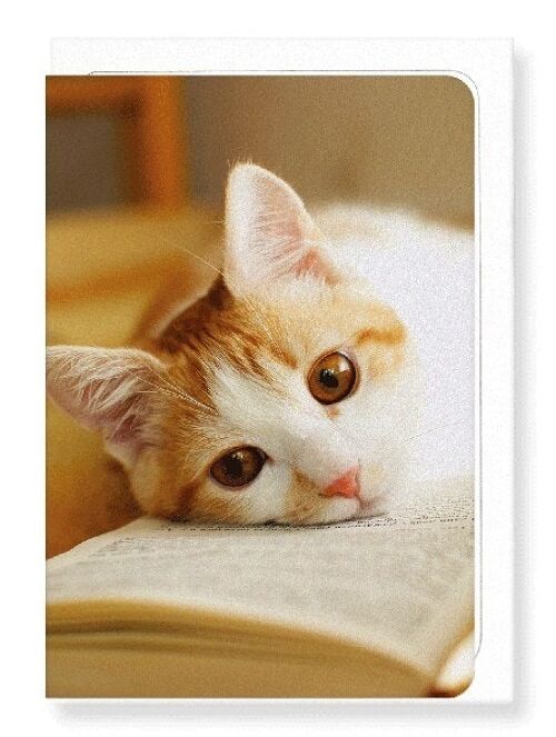 GINGER CAT AND BOOK Greeting Card