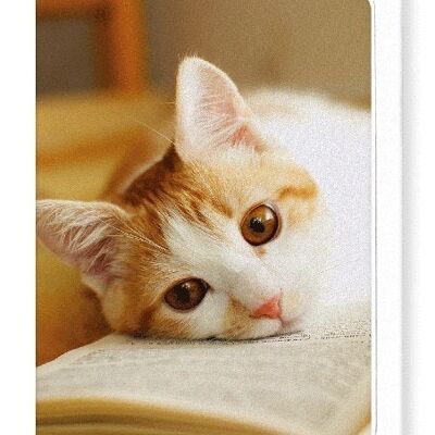 GINGER CAT AND BOOK Greeting Card