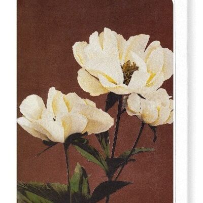 PHOTOMECHANICAL PRINT OF HÆRDACEOUS PEONIES C.1890  8xCards