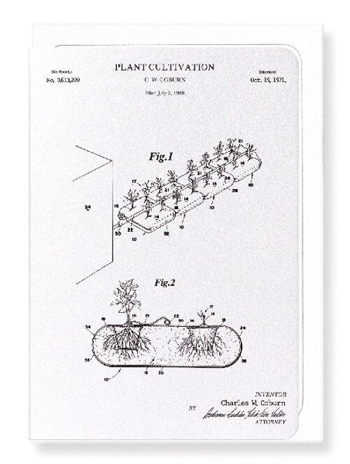 PATENT OF PLANT CULTIVATION 1971  Greeting Card