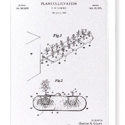 PATENTE DE CULTIVO DE PLANTAS 1971 Tarjetas de felicitación