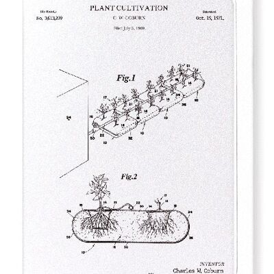 PATENT OF PLANT CULTIVATION 1971  Greeting Card