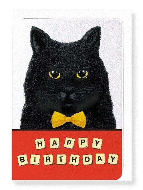 BIRTHDAY SCRABBLE CAT Greeting Card
