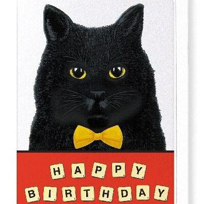 BIRTHDAY SCRABBLE CAT Greeting Card