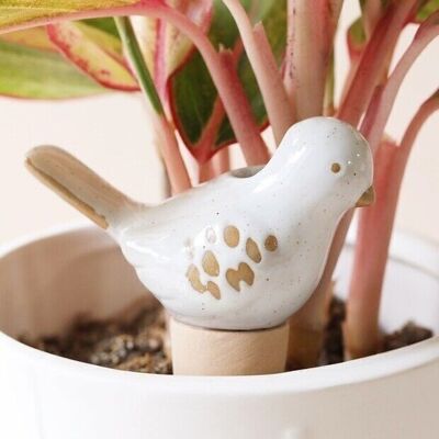 Picchetto per irrigazione di piante di uccelli in ceramica