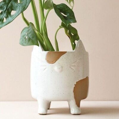 Pflanzgefäß aus natürlicher Keramik für Katzen