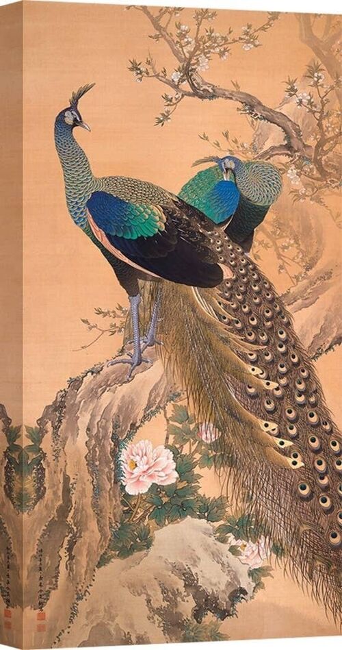 Quadro giapponese, stampa su tela: Imao KeinenImao Keinen, Coppia di pavoni in primavera